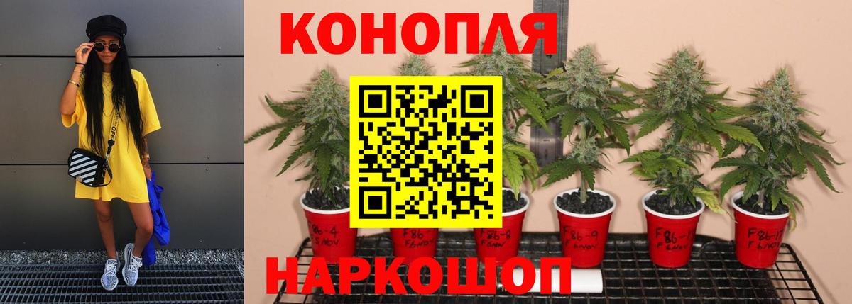 Бошки Шишки THC 21%  Вход с VPN  Шишки марихуана марихуана  Железноводск  Бошки Шишки индика 